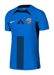 Slovenia Away Shirt Euro 2024